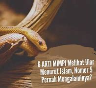 Arti Mimpi Dikejar Ular Api Menurut Islam